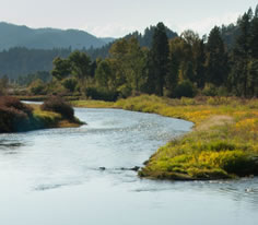 Photo of the Clark Fork River in Southwest Montana