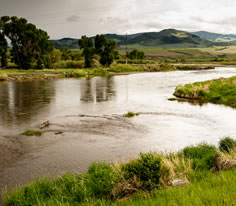 Photo of the Jefferson River in Southwest Montana
