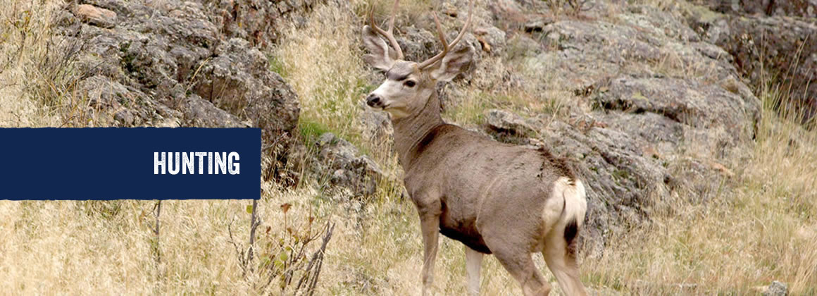 Hunting in Hope County, Montana