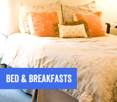 Bed and Breakfasts in Hope County, Montana